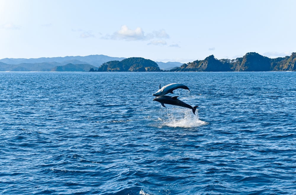 new_zealand_photographer_olga_yatsenko_07